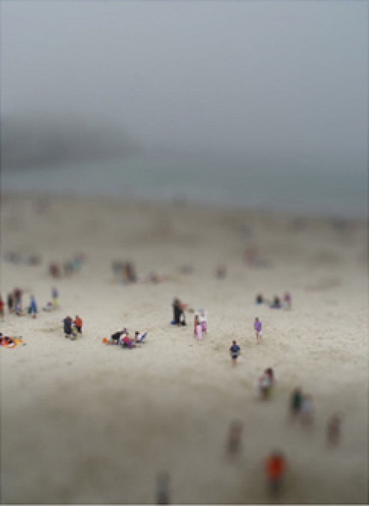 Plage, 2008
