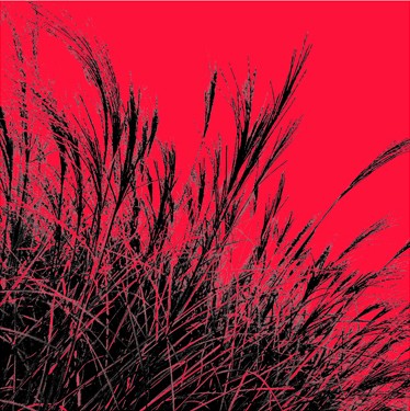 Grass (red), 2011